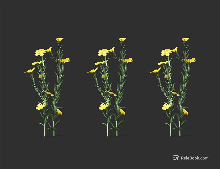 Three Yellow Flower Plants With Green Stems Leaves On Black Background 3d model 