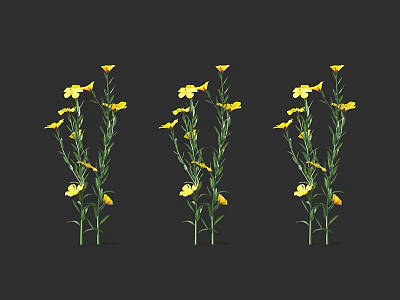 Three Yellow Flower Plants With Green Stems Leaves On Black Background 3d model