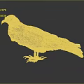 Dark Brown Raptor Standing with Yellow Eyes and Claws on Black Surface Gray Background
