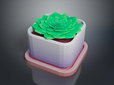 Green Succulent Plant With Lotus Like Leaves In White Square Pot Under Pink Tray 3d model
