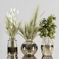 Transparent Vases With White Pompom Flowers Green Leaves And Wheat Like Plants In Light Background