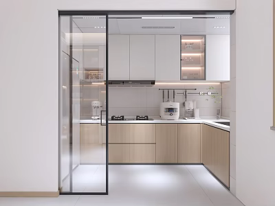 Modern Kitchen Interior With White Wooden Cabinetry Sliding Glass Door Built-in Lighting And Appliances 3d model