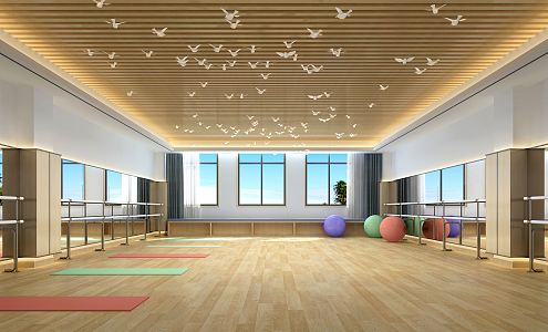 Modern Dance Room Dance Classroom 3d model