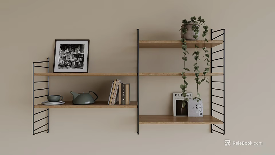 Wall Shelves with Black and White Photo Teapot Hanging Plant and Books 3d model 