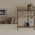 Wall Shelves with Black and White Photo Teapot Hanging Plant and Books