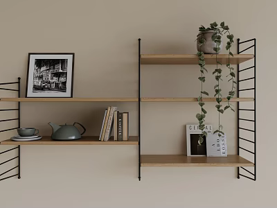 Wall Shelves with Black and White Photo Teapot Hanging Plant and Books 3d model