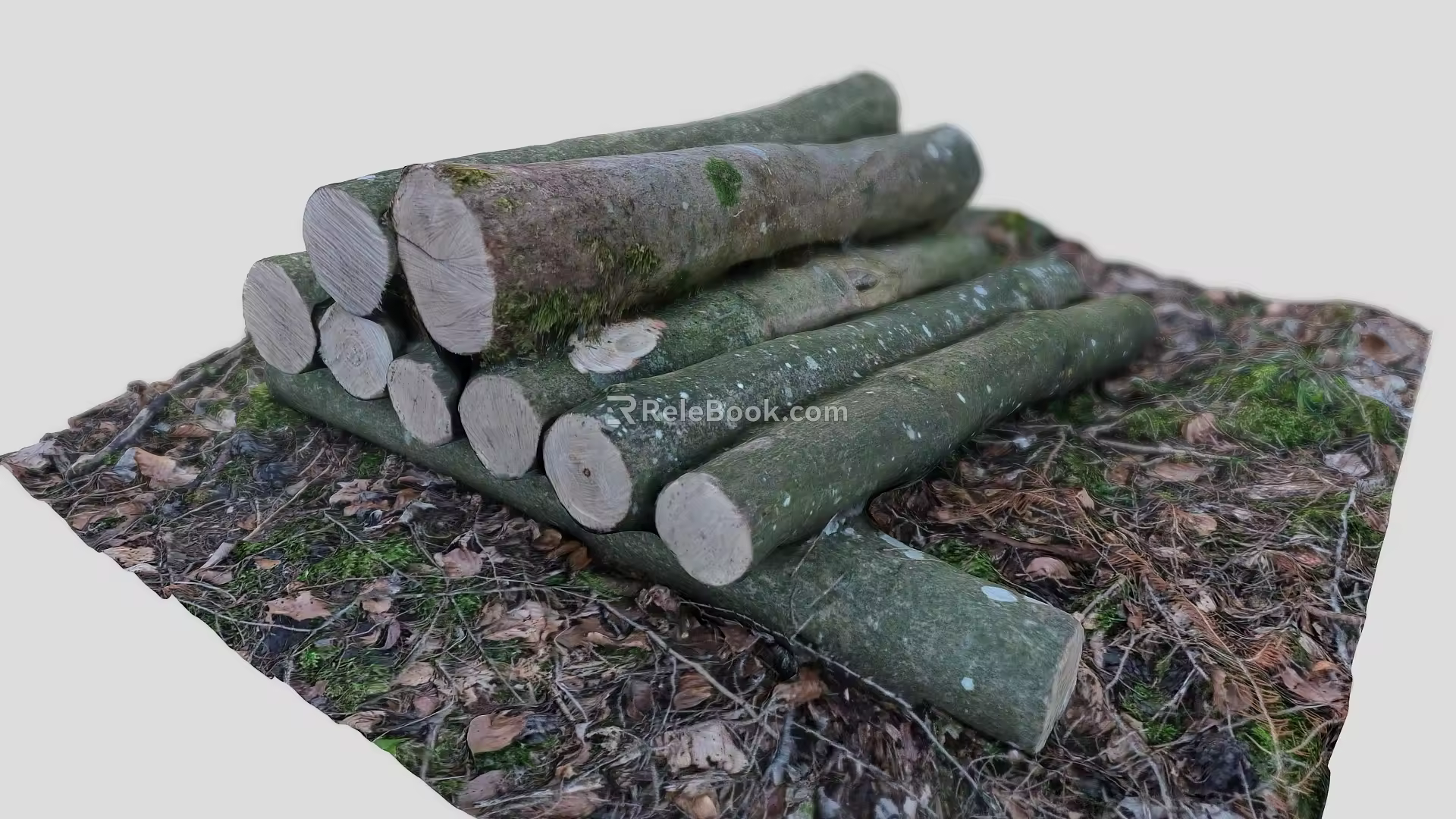 Wood pile trees wood firewood stump scanning stump root tree old tree dead tree scanning tree 3d model
