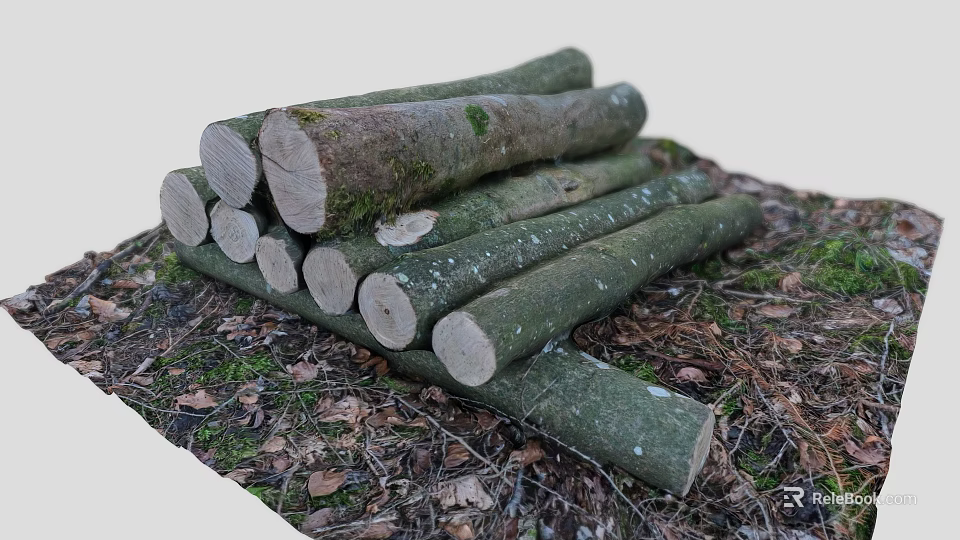 Stacked Tree Logs With Natural Bark And Moss On Fallen Leaves Ground 3d model 