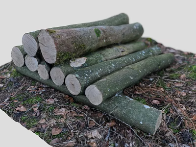 Stacked Tree Logs With Natural Bark And Moss On Fallen Leaves Ground 3d model