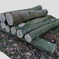Wood pile trees wood firewood stump scanning stump root tree old tree dead tree scanning tree 3d model