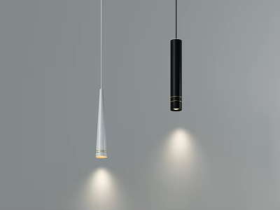 Modern Two Pendant Lights White Conical And Black Cylindrical Design Hanging Gray Background 3d model