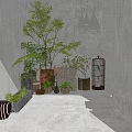 Bonsai Potted Plants In Modern Indoor Space With Gray Walls And Hanging Pendant Lights