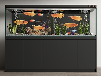 Modern fish tank fish tank ornamental fish tank aquarium tropical fish golden dragon fish 3d model