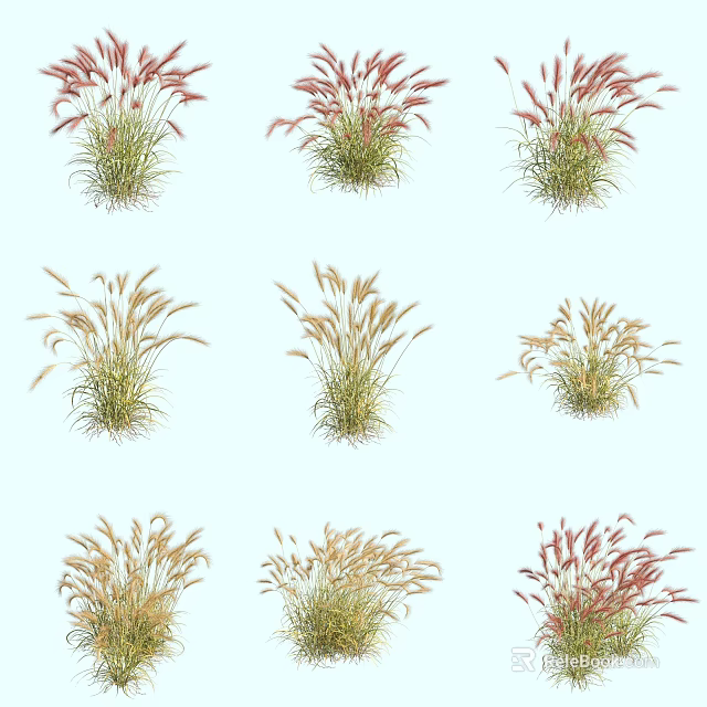 Various Types of Ornamental Grasses with Red Yellow and Green Foliage for Garden Decoration 3d model 