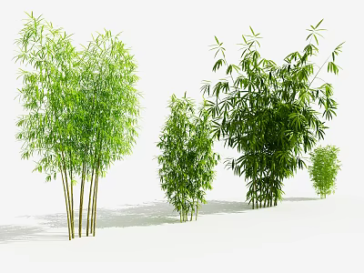 Various Types of Green Bamboo Plants with Different Heights and Lush Leaves 3d model
