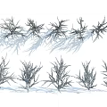 Purple Decorative Plants With Slender Leaves Arranged In Rows And Natural Shadows