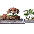 Scenic Landscape Seats With Stone Platform Red Flowers And Green Trees