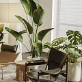 Comfortable Leisure Chairs In Cozy Living Room With Fireplace Large Green Plants And Patterned Rug