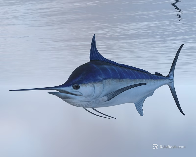 Blue and Silver Swordfish Swimming Near Calm Ocean Water Surface 3d model 