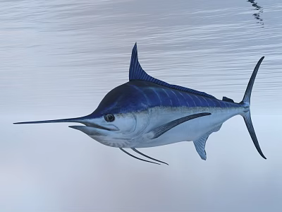 Blue and Silver Swordfish Swimming Near Calm Ocean Water Surface 3d model