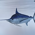 Blue and Silver Swordfish Swimming Near Calm Ocean Water Surface