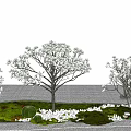 Modern Tree Magnolia Flowering Trees and Shrubs Landscape Plants 3d model
