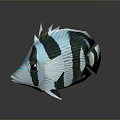 3D Rendered Blue White Black Striped Tropical Fish With Spiky Dorsal Fin And Large Eyes