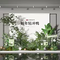 Store Window Display with Lush Green Plants White Backdrop and Decorative Lighting Elements 3d model