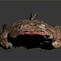 Red Spotted Aquatic Fish With Blue Eyes Long Body And Distinctive Markings