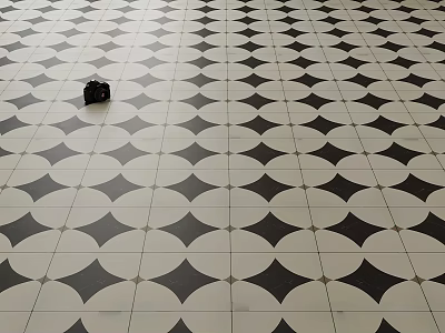 Classic Black And White Floor Tiles With Geometric Pattern And Neat Layout 3d model