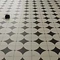 Classic Black And White Floor Tiles With Geometric Pattern And Neat Layout 3d model