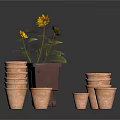Sunflower Plant In Brown Pot With Stacked Terracotta Pots Of Various Sizes