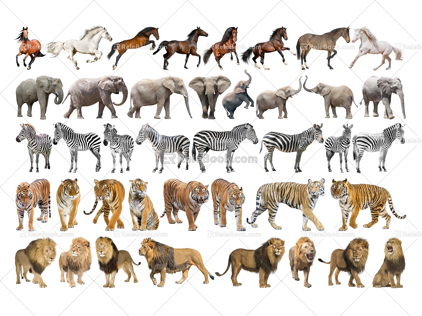 2D Animal Wildlife Horse Elephant Zebra Tiger Lion 3d model