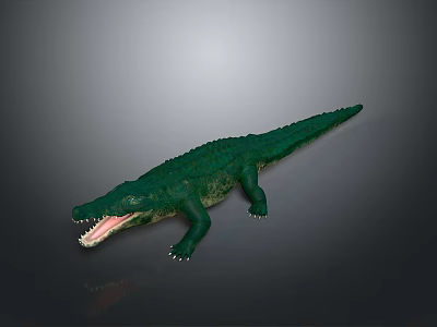 Detailed Green Crocodile with Open Mouth and Scales on Gray Background 3d model