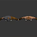 Man 3D Models With Different Outfits Brown Pants Black Wrist Guards And Boots
