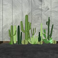 Various Cactus Potted Plants Arranged Against Gray Wooden Wall Background