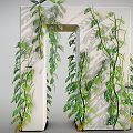 Lush Green Vines Growing On White Structure With Hanging Leaves And Small Yellow Flowers
