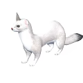 Ermine With White Fur Black Tail Tip Pointed Ears And Sleek Body In Standing Posture