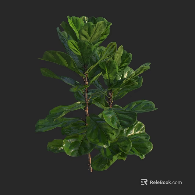 Lush Green Indoor Plant With Vibrant Foliage And Healthy Leaves For Home Decor 3d model 