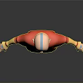 3D Animated Character With Bald Head Red Yellow Outfit And Open Arms Pose
