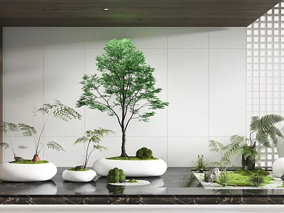 Modern Indoor Garden Ornaments With Various Green Plants And White Planters On Marble Countertop 3d model