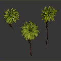 Three Green Leafy Plants With Red Roots Growing Against Dark Background 3d model