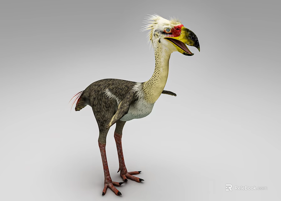 Realistic 3D Flying Animal Model with Grey White Feathers Crested Head and Colorful Beak 3d model 