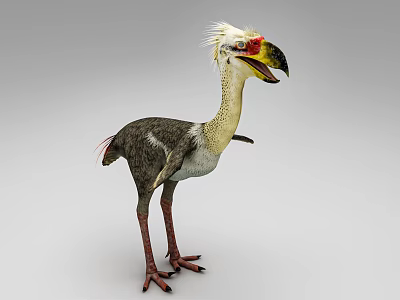 Realistic 3D Flying Animal Model with Grey White Feathers Crested Head and Colorful Beak 3d model