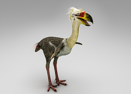 Modern crested terror bird 3d model