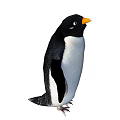 Cute Black And White Penguin Doll With Orange Beak Standing On White Background