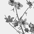 Tree Shaped Art Installation With Pink Blossoms Brown Trunk White Background And Shadow