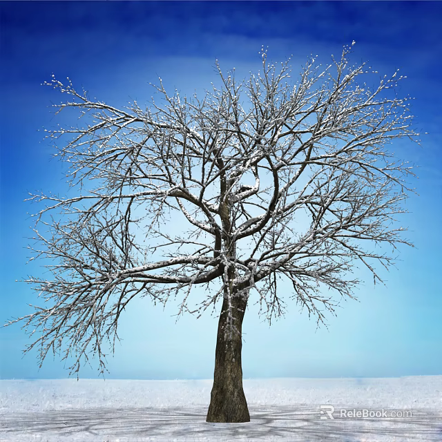 A Majestic Leafless Tree With Snow Covered Branches Against Clear Blue Sky In Winter 3d model 