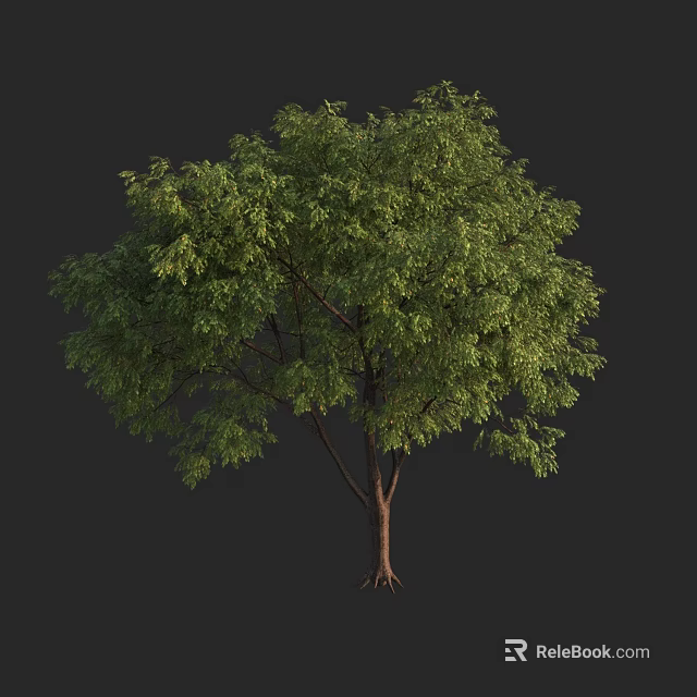 Lush Green Arbor With Detailed Trunk And Roots On Dark Background 3d model 