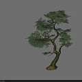 Pair of Decorative Trees With Curved Trunks And Lush Green Foliage